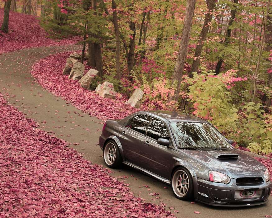 Машины, Дороги, Листья, Осень, Субару (Subaru), Транспорт