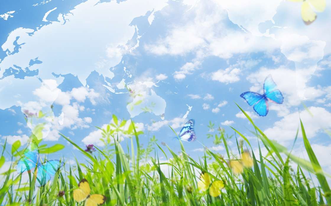Бабочки, Небо, Пейзаж, Трава