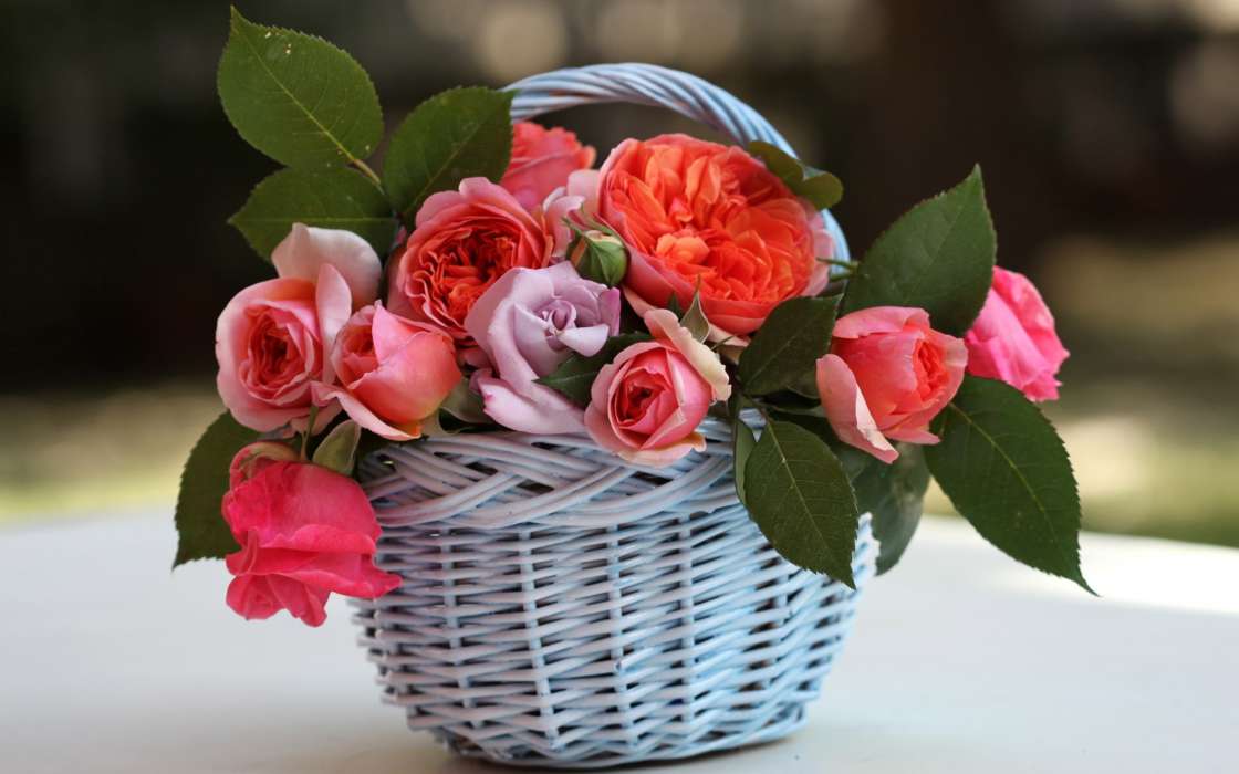 Розы Букет Красивый Фото Скачать Бесплатно