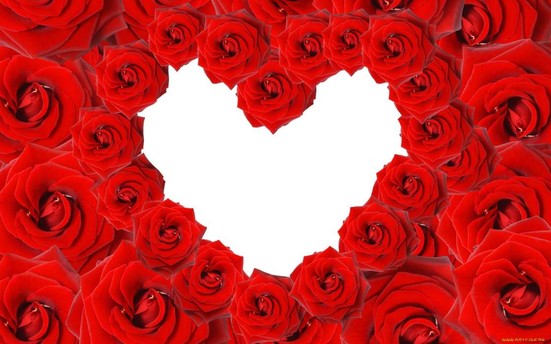 Цветы, День святого Валентина (Valentine&#039;s day), Фон, Праздники, Розы, Сердца