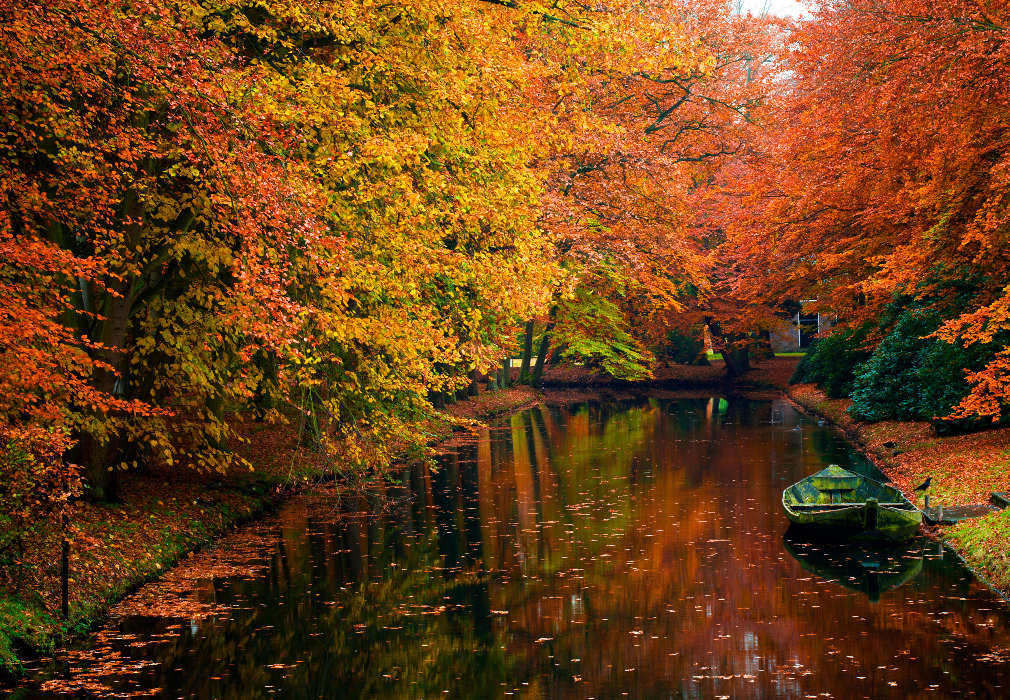 Деревья, Лодки, Осень, Пейзаж, Река