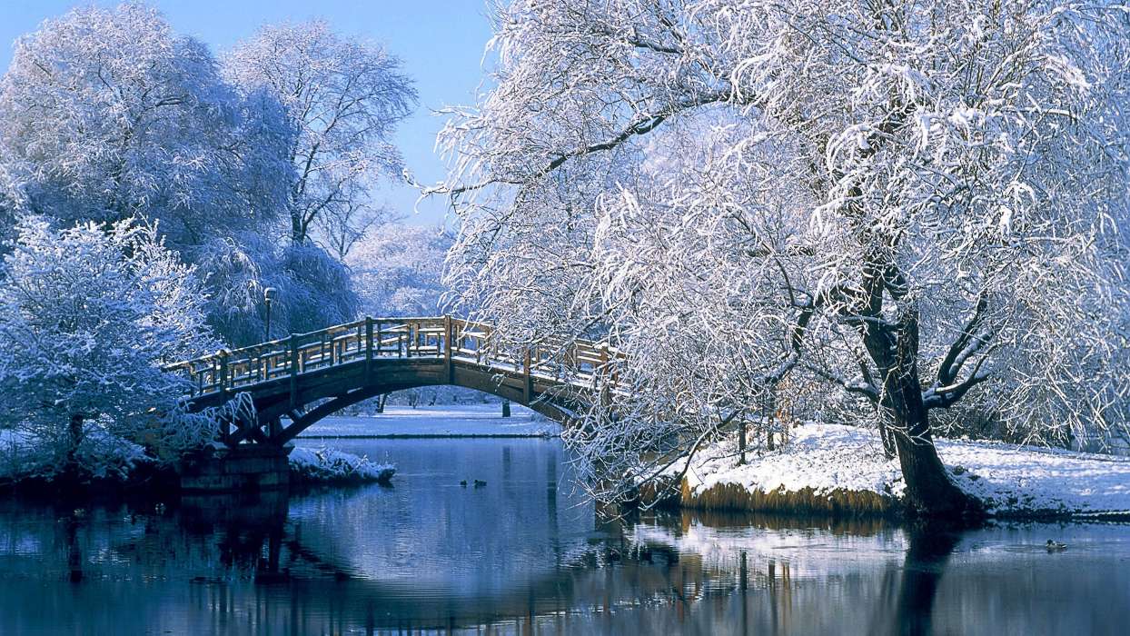 Деревья, Мосты, Пейзаж, Река, Зима