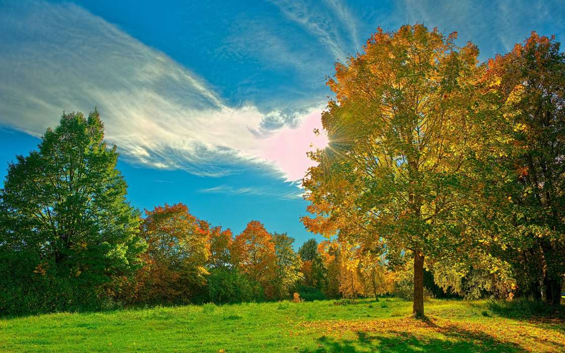 Деревья, Небо, Облака, Осень, Пейзаж