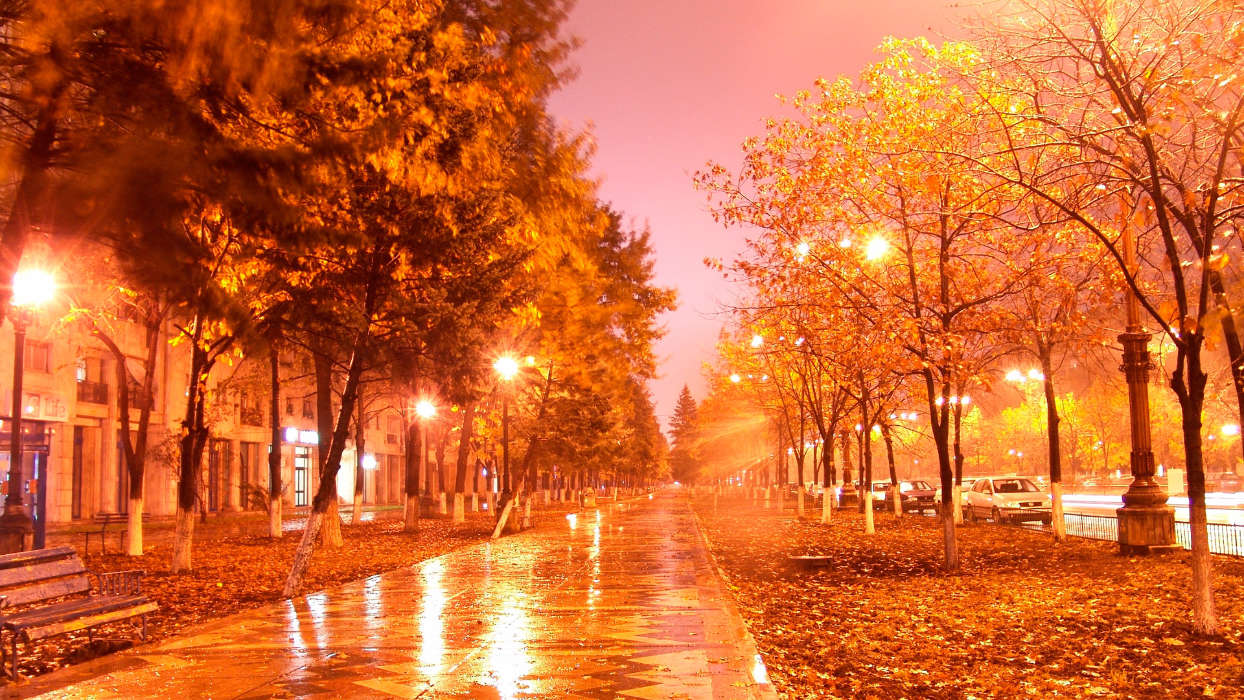 Деревья, Ночь, Осень, Пейзаж, Улицы