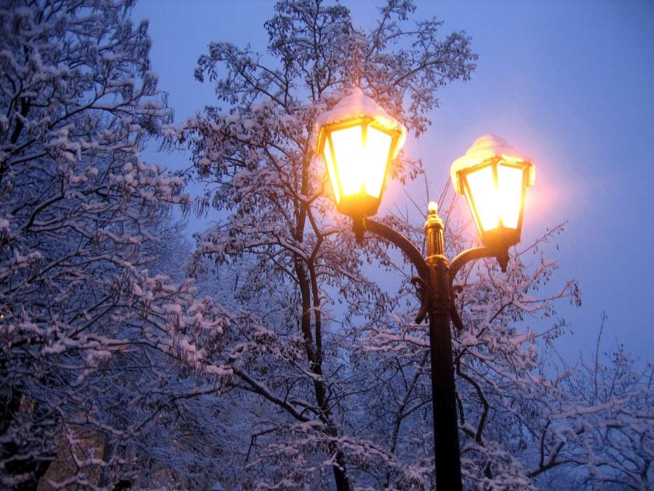 Деревья, Ночь, Пейзаж, Снег