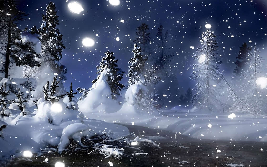 Деревья, Ночь, Пейзаж, Снег