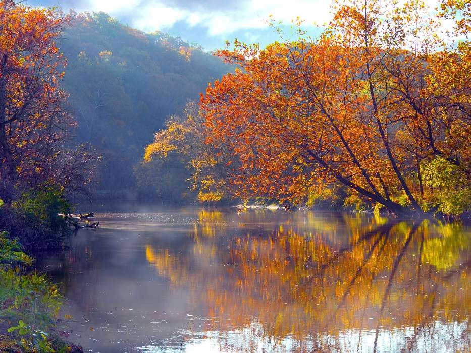 Деревья, Осень, Озера, Пейзаж, Вода