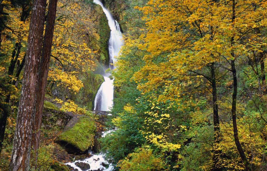 Деревья, Осень, Пейзаж, Водопады