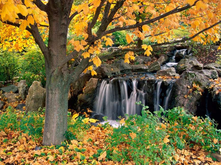 Деревья,Осень,Пейзаж,Водопады