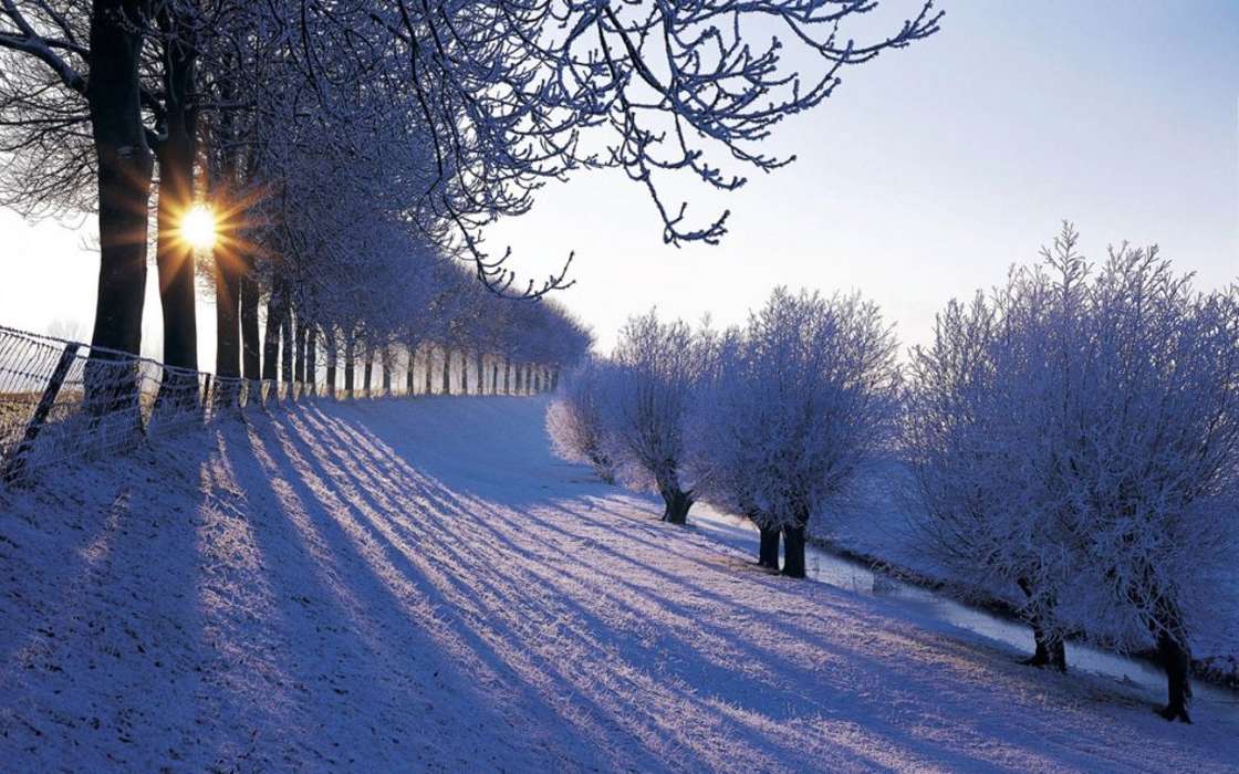 Деревья, Пейзаж, Снег, Солнце, Зима