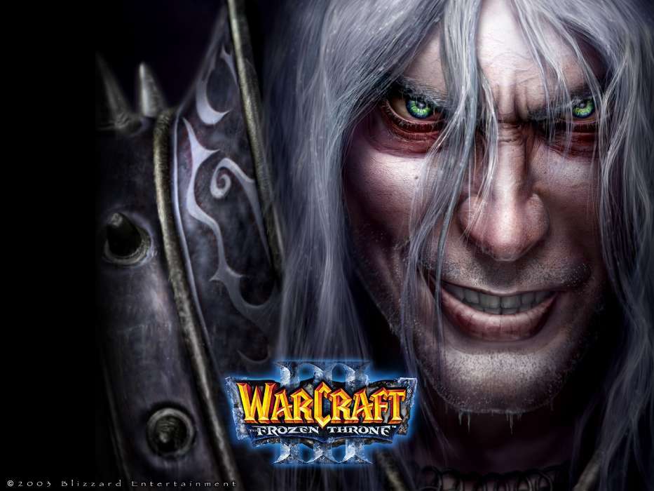 Игры, Warcraft