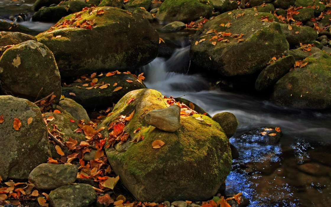 Камни, Осень, Пейзаж, Природа, Река