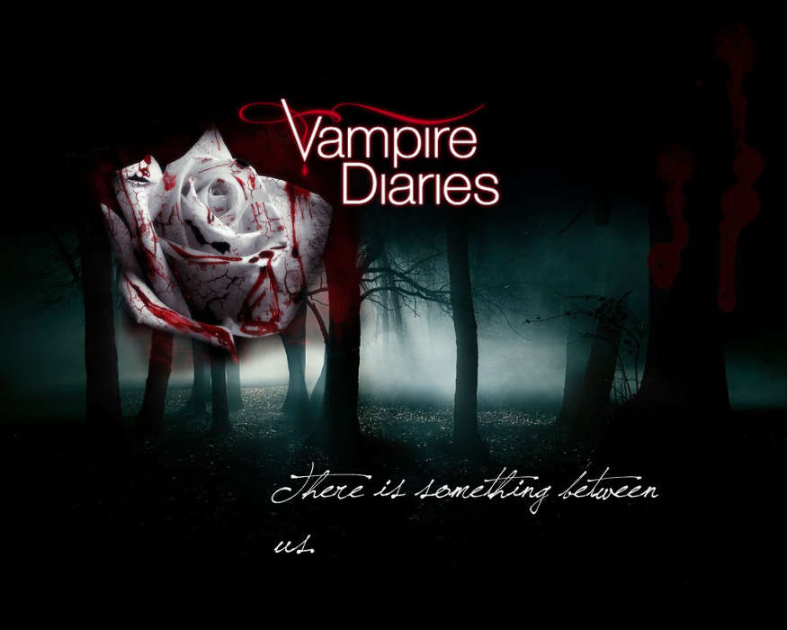 Кино, Дневники вампира (The Vampire Diaries)