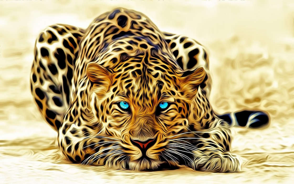 Леопарды,Рисунки,Животные
