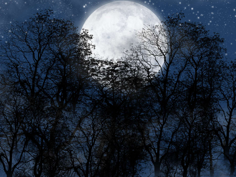 Луна,Ночь,Пейзаж