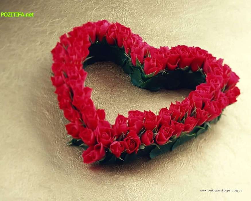 День святого Валентина (Valentine&#039;s day), Любовь, Открытки, Растения, Розы, Сердца