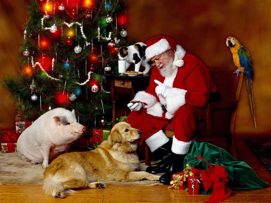 Люди, Новый Год (New Year), Праздники, Рождество (Christmas, Xmas), Санта Клаус (Santa Claus), Животные