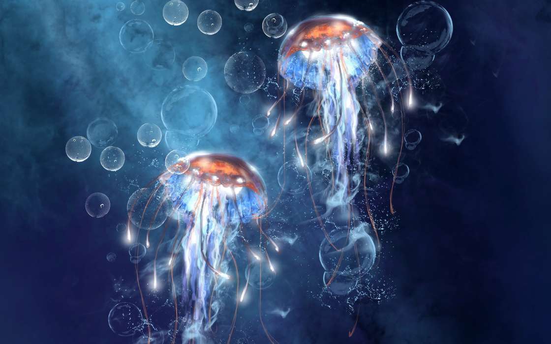 Медузы,Животные