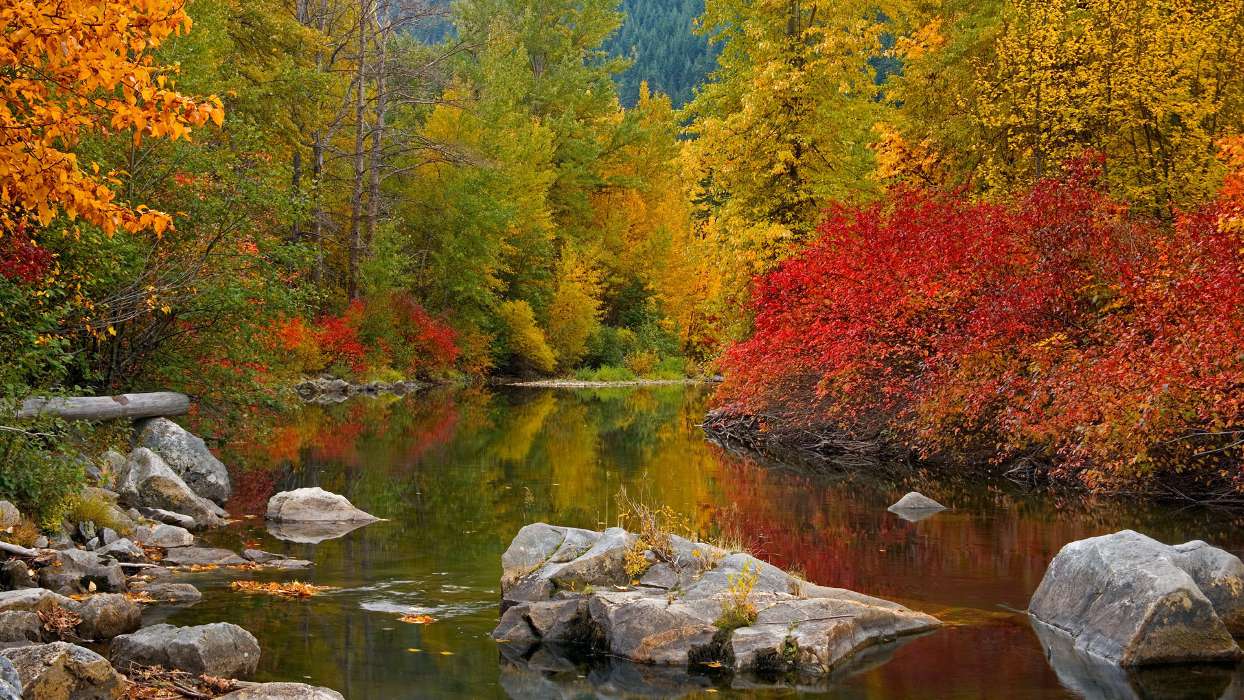 Осень,Пейзаж,Река