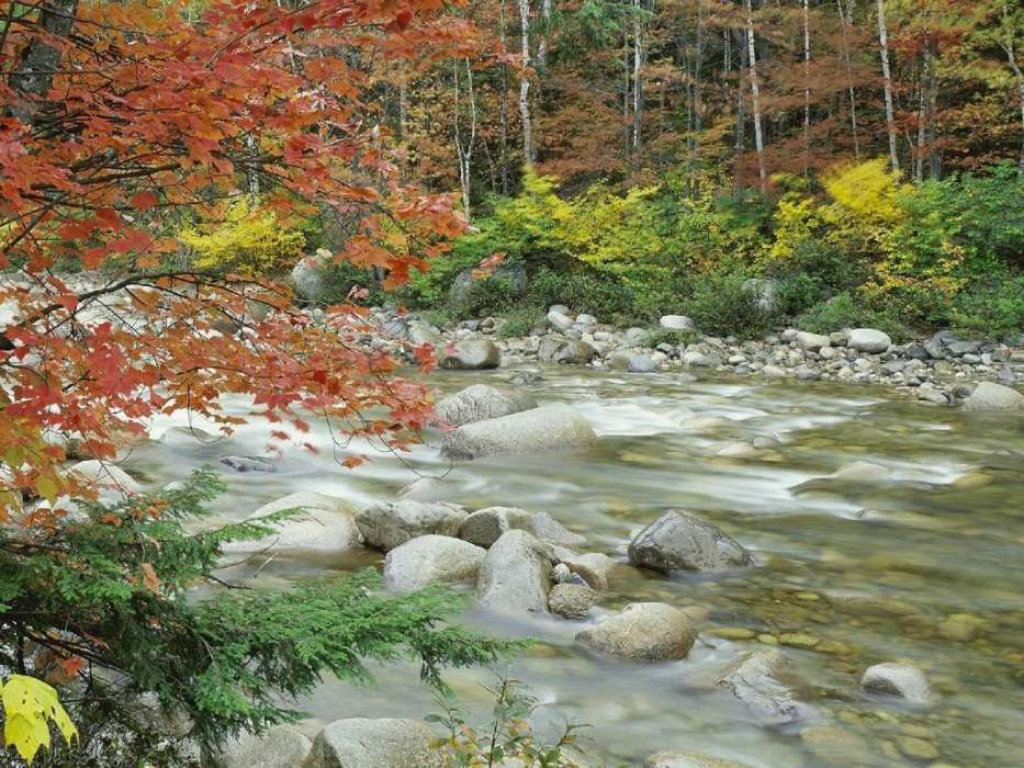 Осень,Пейзаж,Река