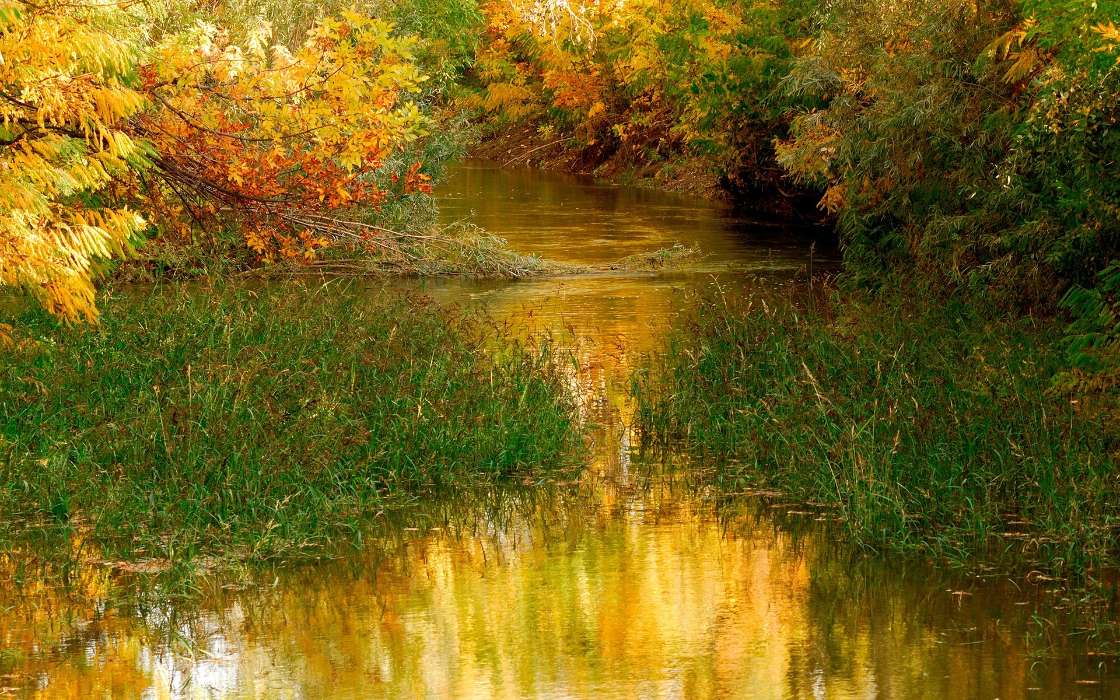 Осень, Пейзаж, Река, Трава