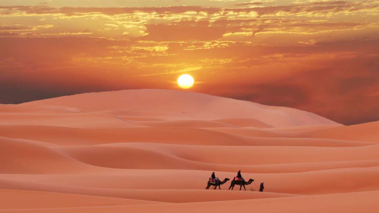 Пейзаж, Песок, Пустыня, Верблюды, Закат