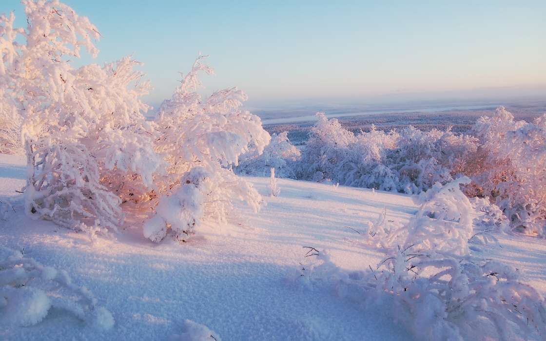 Пейзаж,Природа,Снег,Зима