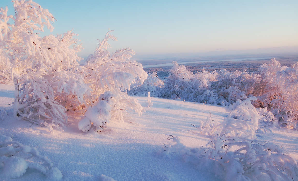 Пейзаж,Природа,Зима