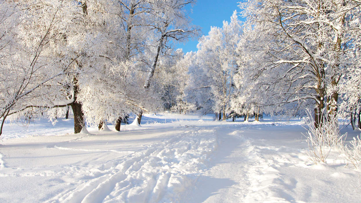 Пейзаж, Снег, Зима