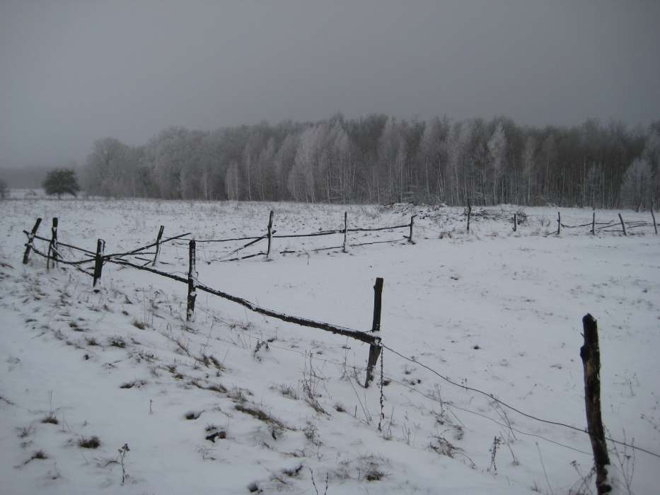 Зима, Пейзаж, Снег