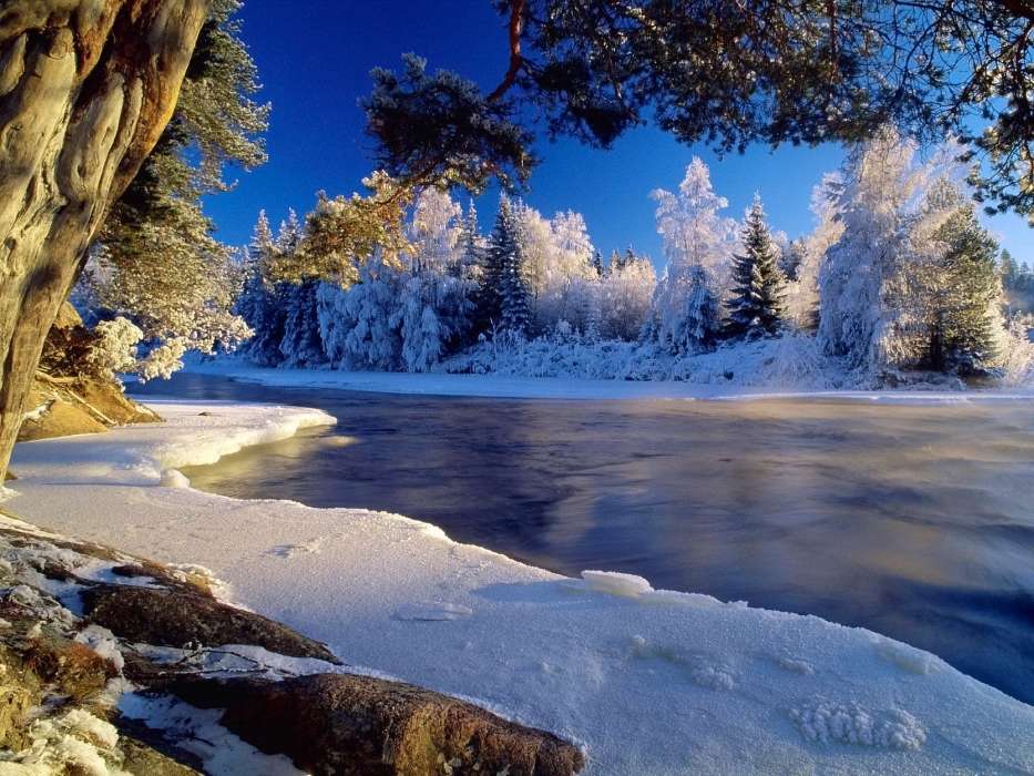 Пейзаж,Зима