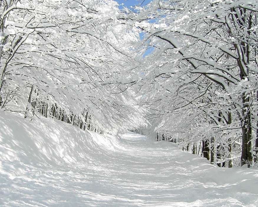 Пейзаж,Зима