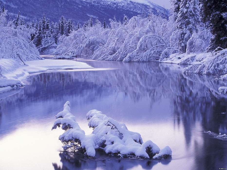 Зима, Пейзаж, Река