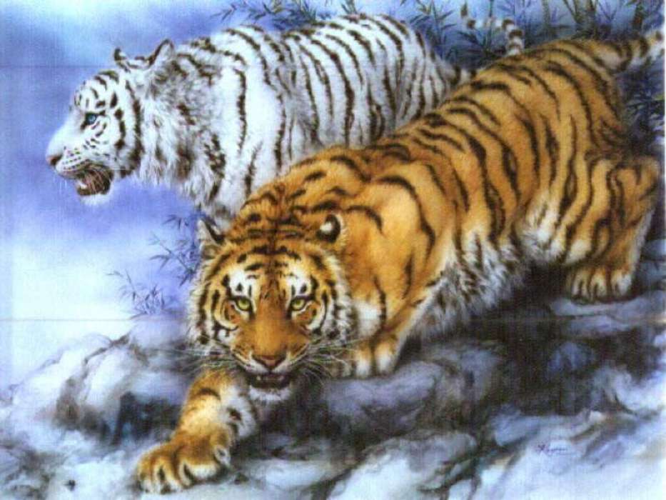 Рисунки, Тигры, Животные