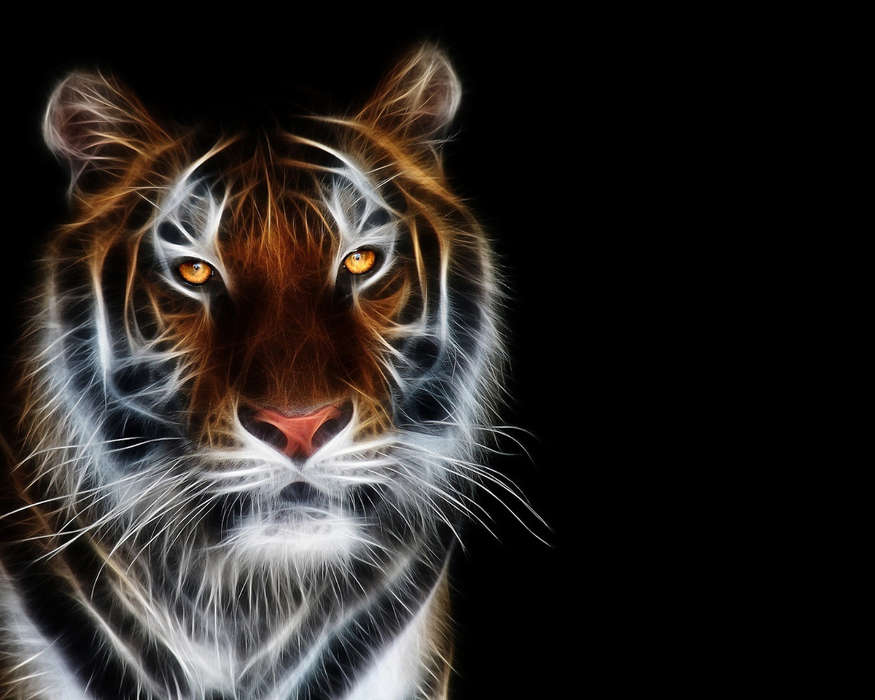 Тигры,Животные