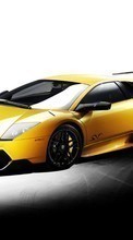 Новые обои на телефон скачать бесплатно: Ламборджини (Lamborghini), Авто, Транспорт.