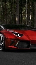 Новые обои на телефон скачать бесплатно: Ламборджини (Lamborghini), Машины, Транспорт.