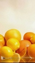 Новые обои на телефон скачать бесплатно: Апельсины, Еда, Лимоны, Фрукты.