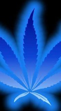 Конопля (Cannabis), Марихуана, Фон для Samsung Galaxy S6