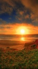 Арт, Закат, Небо, Пейзаж, Солнце, Трава для Apple iPhone 4