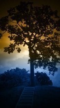 Артфото, Деревья, Пейзаж для Sony Xperia TX