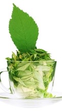 Листья, Растения, Чашки для Samsung Galaxy Nexus