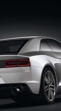 Ауди (Audi), Машины, Транспорт