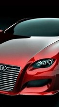 Ауди (Audi),Машины,Транспорт для Motorola BACKFLIP