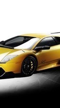 Новые обои 240x320 на телефон скачать бесплатно: Авто, Ломбарджини (Lamborghini), Транспорт.