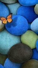 Бабочки, Камни, Насекомые, Фон для Nokia X2