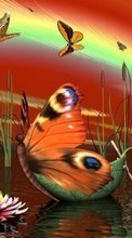 Бабочки, Насекомые, Рисунки для Samsung Galaxy A7