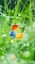 Бренды, Логотипы, Микрософт (Microsoft), Трава