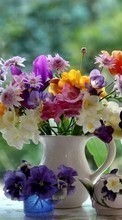 Букеты,Цветы,Растения для HTC Desire 200