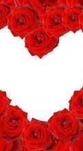 Новые обои на телефон скачать бесплатно: Цветы, День святого Валентина (Valentine&#039;s day), Фон, Праздники, Розы, Сердца.